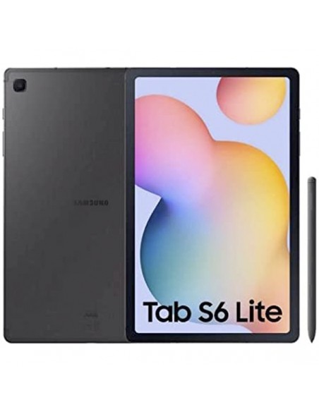 Samsung Galaxy Tab S6 Lite 2022 Gris
